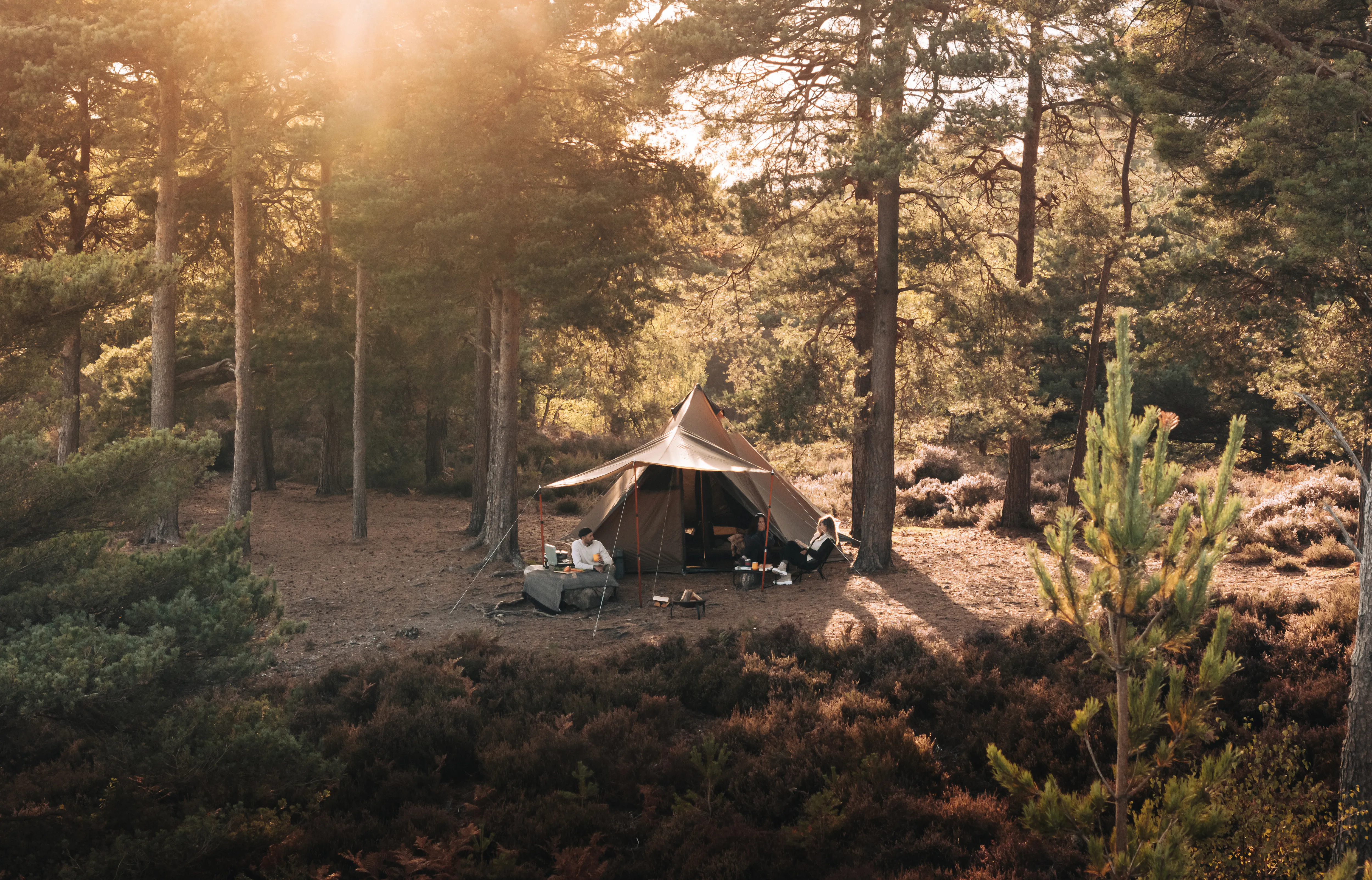 An camp with a Kampa tent in the New Forest